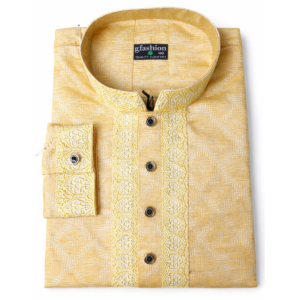 royal golden festive panjabi